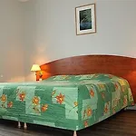 호텔 Logis - Restaurant Le Tulipier 3*