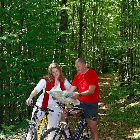 Logis - Restaurant Le Tulipier 3* ヴィエンヌ・ル・シャトー