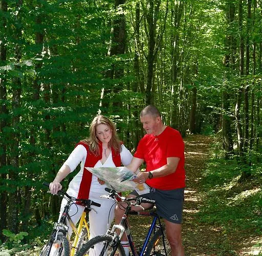 Logis - Restaurant Le Tulipier 3* Vienne-le-Château